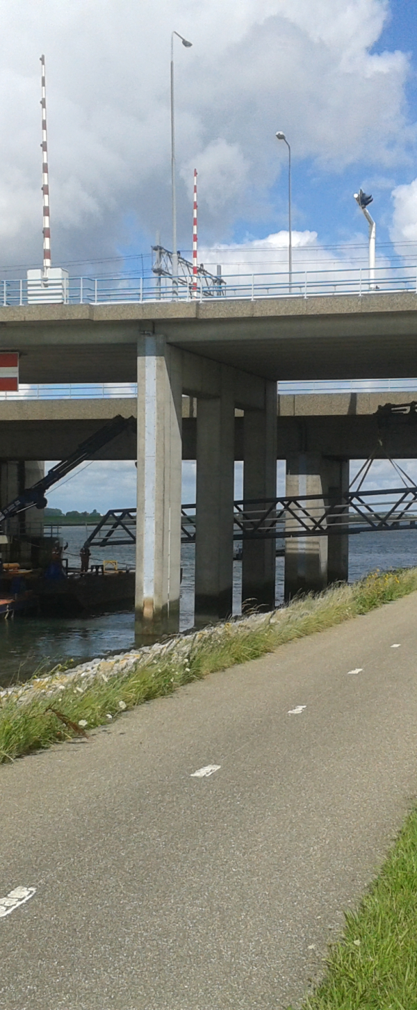 20150729_125439.jpg