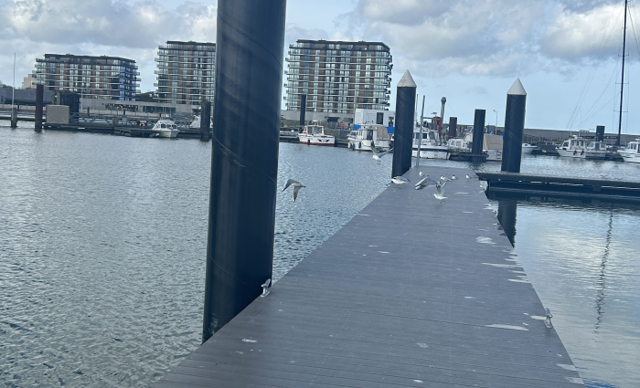 3Jachthaven Breskens fase 2