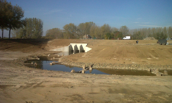 IMG00071-20111028-1426.jpg