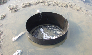 Roosendaal Energy4.jpg